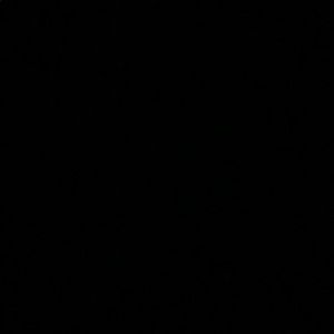 Meet your Posher, Ava